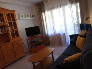 TV a/nebo společenská místnost v ubytování Best Biescas Tourist Home + 37 fotografií