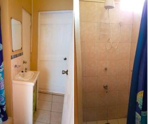 een badkamer met een douche en een wastafel bij Westerhall Sunglow House in Westerhall Land Settlement