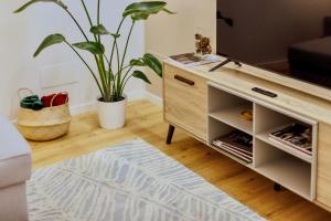 a living room with a tv and a potted plant at Feltrinelli Suite in Modena