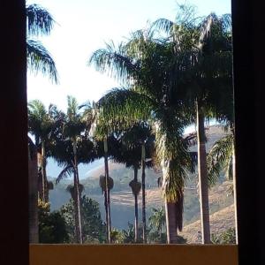 una ventana con vistas a la playa y a las palmeras. en Casa SFX Centro, en São José dos Campos