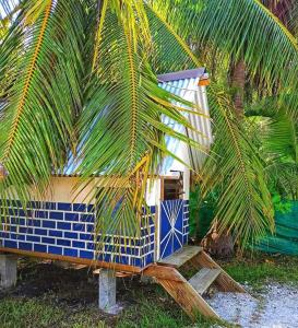 a blue and white house sitting under a palm tree at Moanarani Camping in Avatoru