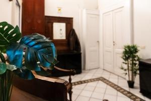 una stanza con una sedia e una pianta di Grey Room 'Historic Centre' a Napoli