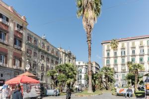 una palma in mezzo a una strada con edifici di Grey Room 'Historic Centre' a Napoli