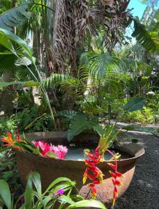 Jardin de l'établissement Beachfront Cozy Apt