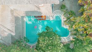 an overhead view of a swimming pool in a backyard at BS Home in Kuta