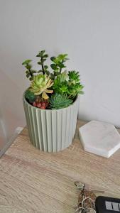 a vase filled with plants on top of a table at Private Guest Suite in Lyndhurst in Lyndhurst