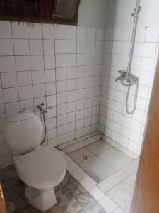 a bathroom with a toilet and a shower stall at PagersHome Suites- RUSTIC in Kigali
