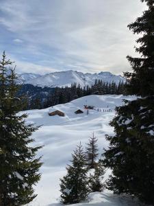 a group of people on a snow covered slope with trees at Ideal für gemütliche Ski-, Wander-, und Bergferien in Disentis
