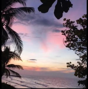 una puesta de sol sobre el océano con palmeras en el primer plano en Cabañas el paisa tours, en Arboletes