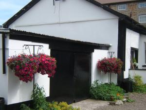 Giardino di Faythe Guesthouse