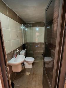 a bathroom with a toilet and a sink and a shower at Desert guide camp in Wadi Rum