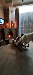 a dog laying on a floor in a living room with a fireplace at AAA Jermuk rest house in Jermuk