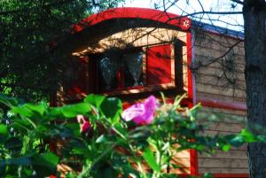 uma casa na árvore com um telhado vermelho e uma janela em Gypsy Nature B&B em Jumelles