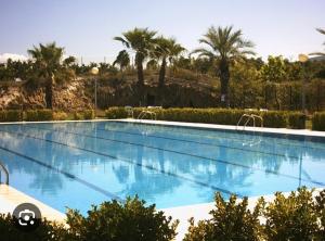 een groot zwembad met palmbomen op de achtergrond bij Anna, embrujo de la naturaleza in Anna