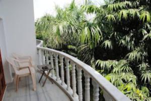 卡修拉荷的住宿－Hotel Isabel Palace, Khajuraho，阳台配有椅子和棕榈树