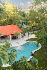 an overhead view of a person in a swimming pool at Casa Cactus Buenavista in Bacalar