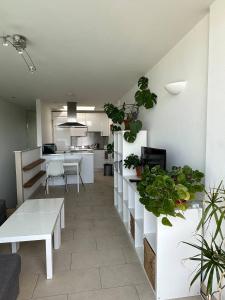 a living room with potted plants and a kitchen at Bright And Airy Islington Apartment in London