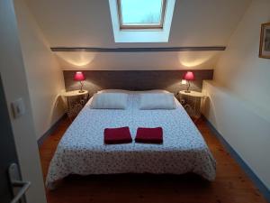 um quarto com uma cama com duas almofadas vermelhas em LE GÎTE DU VIGNERON em Sennevières