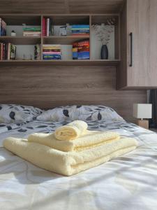 En eller flere senge i et værelse på Apartmán Moje Malé Lipno + 45 billeder