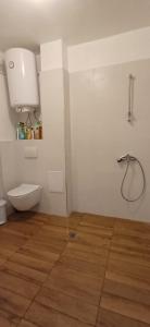 łazienka z toaletą i prysznicem w obiekcie апартамент Римската стена w mieście Chisaria