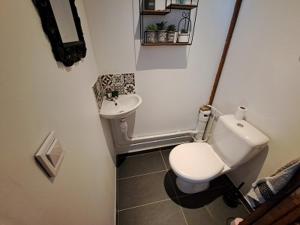 La petite salle de bains est pourvue de toilettes et d'un lavabo. dans l'établissement La Chauvellière, un écrin de verdure dans un cadre historique, à Beaumont-la-Ronce