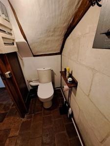 een kleine badkamer met een toilet in een kamer bij La Chauvellière, un écrin de verdure dans un cadre historique in Beaumont-la-Ronce