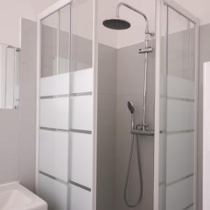 a shower with a shower head in a bathroom at Aux Lilas - Hyper Centre - Wifi - 5 personnes - Rêve au Mans in Le Mans