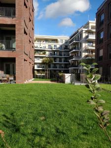 ein Grasfeld vor einem Apartmenthaus in der Unterkunft Wunderschöne Ferienwohnung direkt an der Elbe, Alt-und Neustadtnähe in Dresden