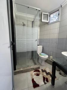 ein Bad mit einer Dusche, einem WC und einem Waschbecken in der Unterkunft Apartment with garden in Paphos City