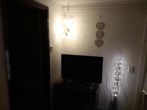 a room with a television and a wall with a lamp at Apartman Ris Gorski Kotar Crni Lug in Delnice