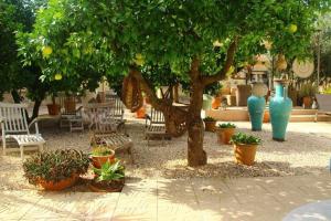 a group of chairs and vases sitting under a tree at CASA-ORBETA in Orba