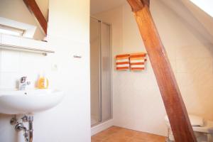 un bagno con lavandino e doccia di Ferienhof Willi a Stilow Altre 43 foto