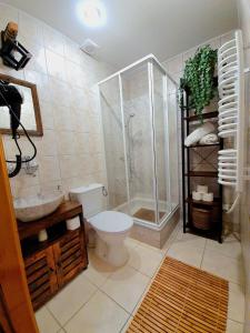 La salle de bains est pourvue d'une douche, de toilettes et d'un lavabo. dans l'établissement Apartamenty Pod Cisówką, à Zakopane