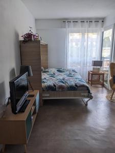 1 dormitorio con 1 cama y escritorio con TV en Joli studio proche des thermes en Aix-les-Bains