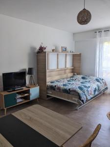 um quarto com uma cama e uma televisão de ecrã plano em Joli studio proche des thermes em Aix-les-Bains