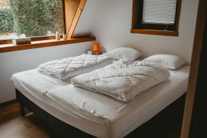 2 Betten in einem Zimmer mit Fenster in der Unterkunft Boshuisje Rekem - Flora in Lanaken