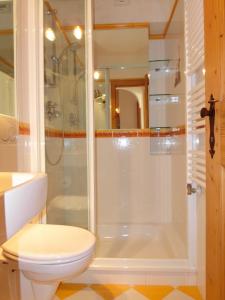 y baño con ducha y aseo. en OLIMPIA LODGE, en Cortina dʼAmpezzo