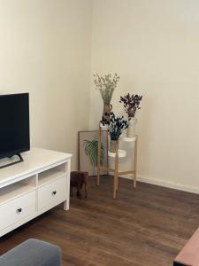 een woonkamer met een tv en een tafel met bloemen bij Apartment with city skyline in Leeuwarden