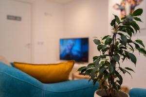 a blue couch and a potted plant in a living room at Gest in Mellieħa