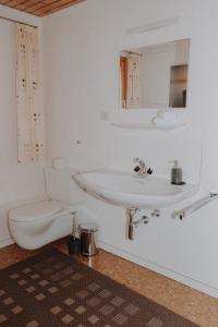 a bathroom with a sink and a toilet at Haus Schäfer Zita in Fontanella