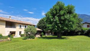 a large tree in a yard next to a house at Chambres d'hôtes de Reymure in Vif