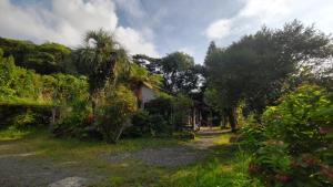 屋久島にあるWhole house rental inn Horizon line - Vacation STAY 18087vの庭のヤシの木のある家