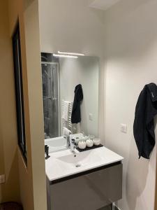 a bathroom with a sink and a mirror at Cœur de Ville Idéal et charmant 4 pers in Clermont-Ferrand