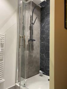 a shower with a glass door in a bathroom at Cœur de Ville Idéal et charmant 4 pers in Clermont-Ferrand