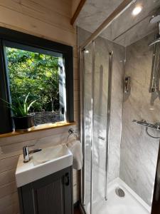 a bathroom with a shower and a sink and a window at Modern Shepherd's Hut Retreat for 2, Dog Friendly in Llangoed