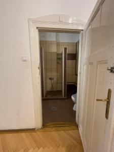 a bathroom with a shower and a toilet in a room at White Pearl Rooms in Budapest