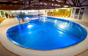 The swimming pool at or close to Hotel Flóra