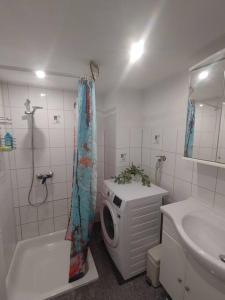 a bathroom with a washing machine and a sink at Sabrina's Sandsteinhaus in Flonheim
