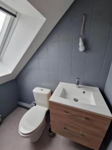 ein Badezimmer mit einem weißen WC und einem Waschbecken in der Unterkunft Le Phénix - Piscine chauffée - 7pers- Rêve au Mans in La Suze-sur-Sarthe
