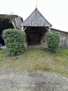 an old barn with two large bushes in front of it at Le Lodge - Cosy - Wifi - 4 personnes - Rêve au Mans in Connerré